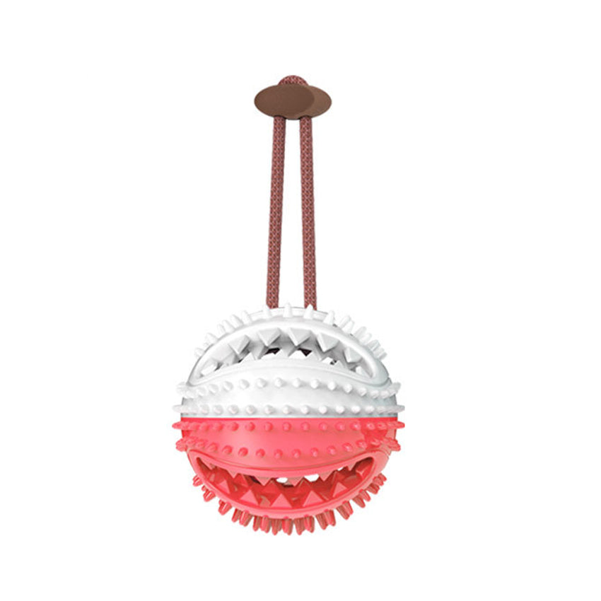 Suction Cup Tug & Chew Dog Toy Ball