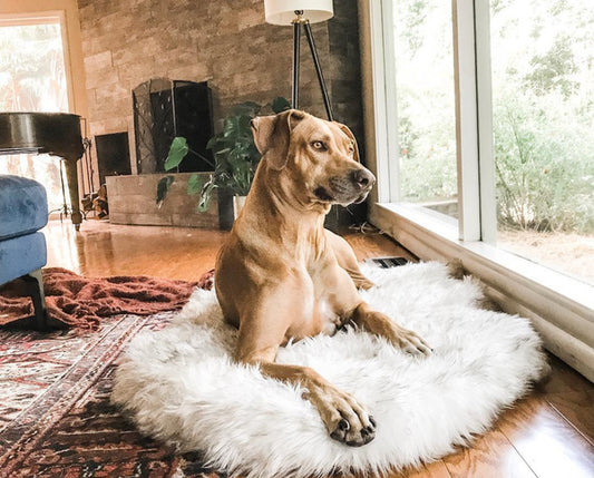 Plush Pet Mat | Dog & Cat Bed | 4 Sizes