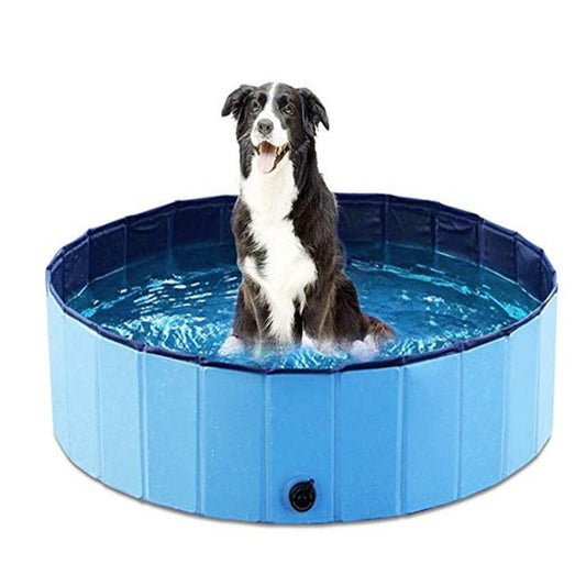 Foldable Dog Paddling Pool | No-Inflate PVC Collapsible Pool for Dogs