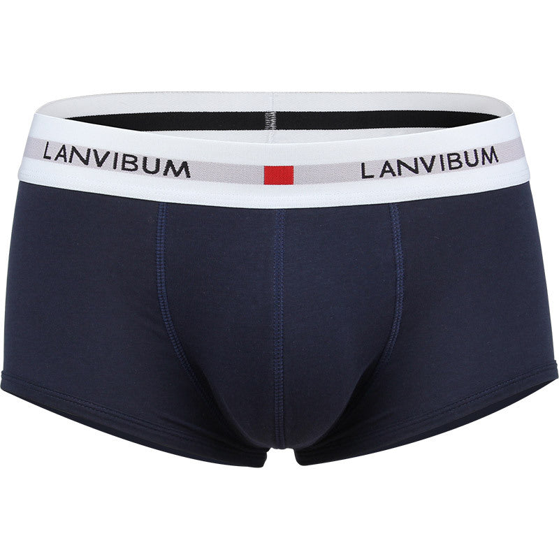 Men's Cotton Boxer Briefs – Low-Waist Everyday Underwear 5 Colours