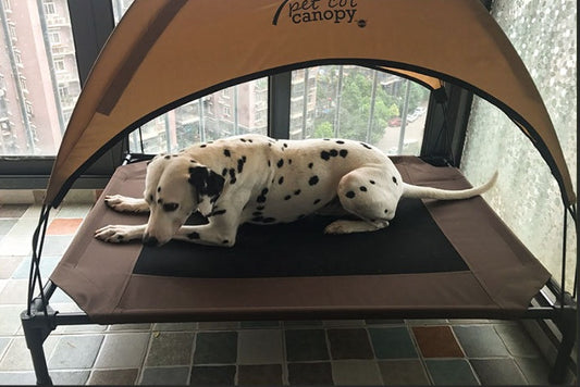 Elevated Pet Camp Bed – Oxford Cloth & Metal Frame | Moisture-Proof | Dogs & Cats | S, M & L