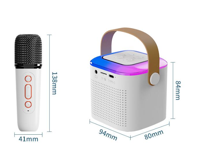 Bluetooth Karaoke Machine with 2 Wireless Microphones
