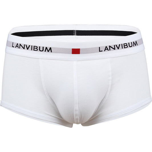 Men's Cotton Boxer Briefs – Low-Waist Everyday Underwear 5 Colours