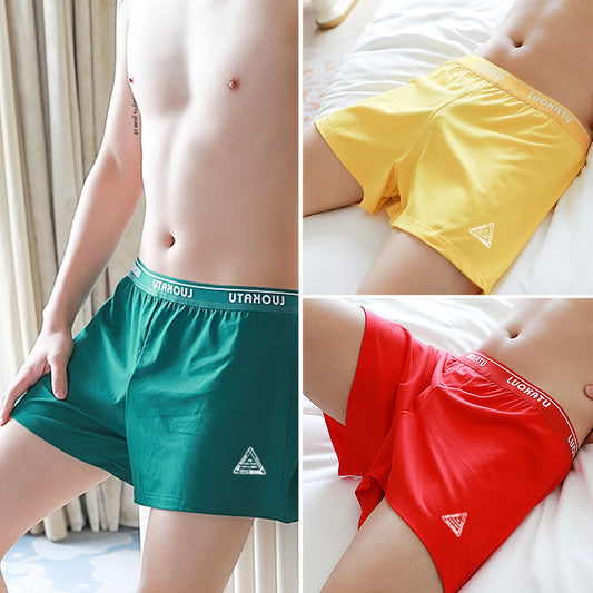 Men's Cotton Knit Boxer Briefs – Breathable Sports Mid-Waist 6 Colours