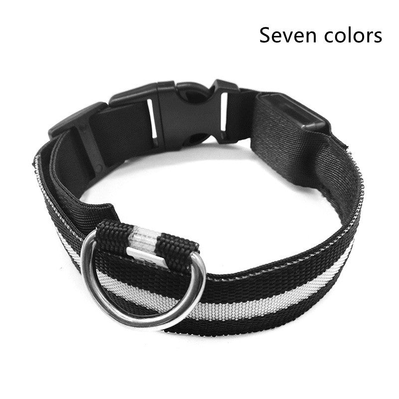 LED Luminous Dog Collar | Nylon Night Safety Flashing Collar XS–XL