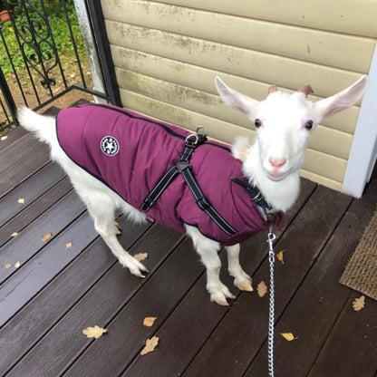Waterproof Dog Raincoat & Winter Jacket | Windproof Outdoor Coat XS–4XL