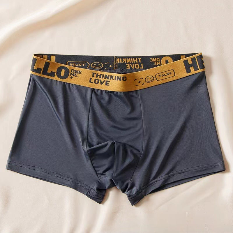 Men's Ice Silk Antibacterial Boxer Briefs | 8 Colours | L–6XL