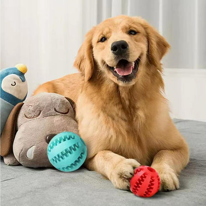 Interactive Hemp Rope & Rubber Dog Toy | Chew & Dental