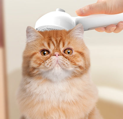 USB Rechargeable Self-Cleaning Pet Slicker Brush | Built-In Misting Spray