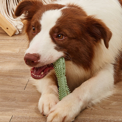 Hexagonal TPR Dog Chew Toy | Teeth Cleaning & Anxiety Relief Molar Ball