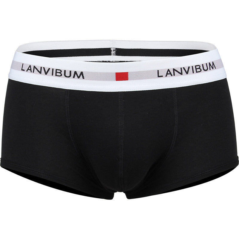 Men's Cotton Boxer Briefs – Low-Waist Everyday Underwear 5 Colours
