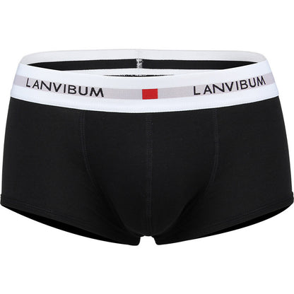 Men's Cotton Boxer Briefs – Low-Waist Everyday Underwear 5 Colours