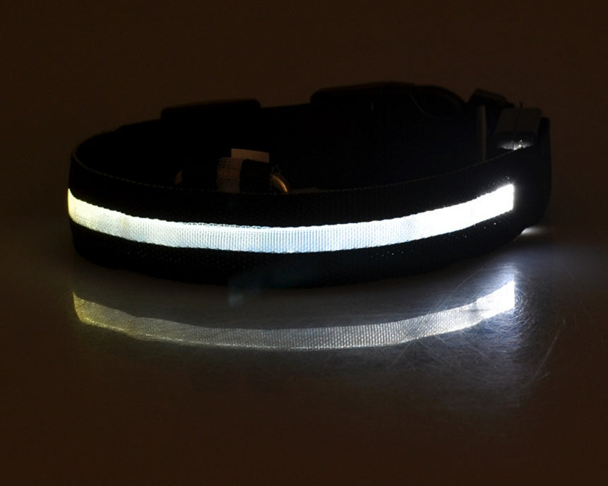 LED Luminous Dog Collar | Nylon Night Safety Flashing Collar XS–XL