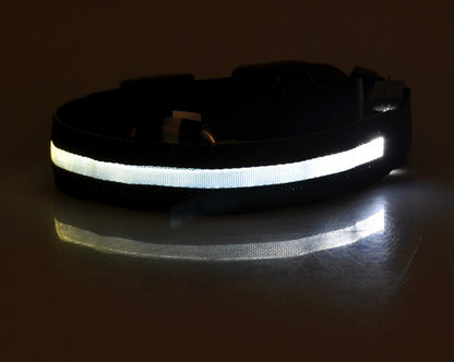 LED Luminous Dog Collar | Nylon Night Safety Flashing Collar XS–XL
