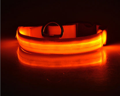 LED Luminous Dog Collar | Nylon Night Safety Flashing Collar XS–XL