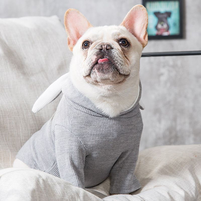 Dog Knit Sweater | Soft Stretch Pullover | 2 Colours | 6 Sizes