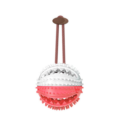 Suction Cup Tug & Chew Dog Toy Ball
