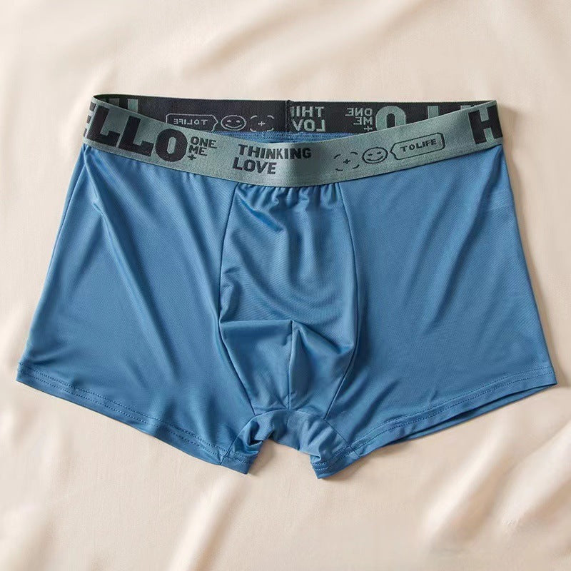 Men's Ice Silk Antibacterial Boxer Briefs | 8 Colours | L–6XL