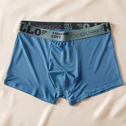 Men's Ice Silk Antibacterial Boxer Briefs | 8 Colours | L–6XL