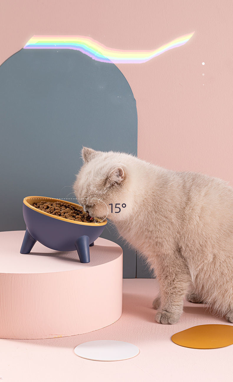 Ergonomic Tilted Pet Feeding Bowl | 15° Angled Cat & Dog Bowl