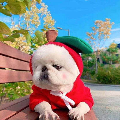 Cute Novelty Dog Hoodie Sweater | Fruit Print Drawstring Coat for Small Dogs