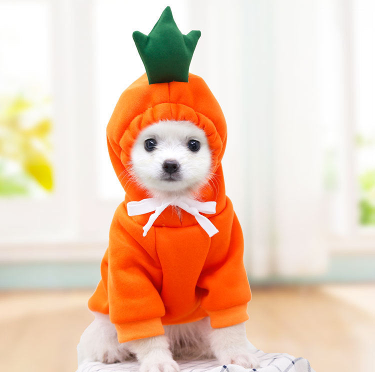 Cute Novelty Dog Hoodie Sweater | Fruit Print Drawstring Coat for Small Dogs