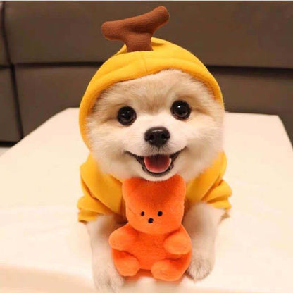 Cute Novelty Dog Hoodie Sweater | Fruit Print Drawstring Coat for Small Dogs