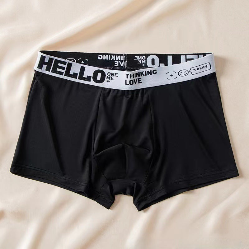 Men's Ice Silk Antibacterial Boxer Briefs | 8 Colours | L–6XL