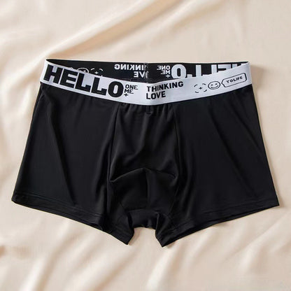 Men's Ice Silk Antibacterial Boxer Briefs | 8 Colours | L–6XL