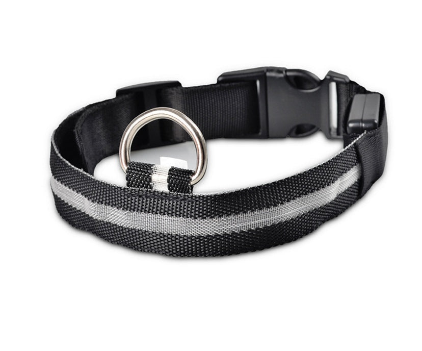 LED Luminous Dog Collar | Nylon Night Safety Flashing Collar XS–XL
