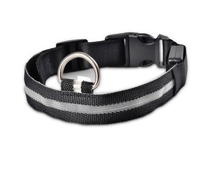 LED Luminous Dog Collar | Nylon Night Safety Flashing Collar XS–XL