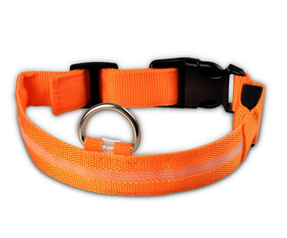 LED Luminous Dog Collar | Nylon Night Safety Flashing Collar XS–XL