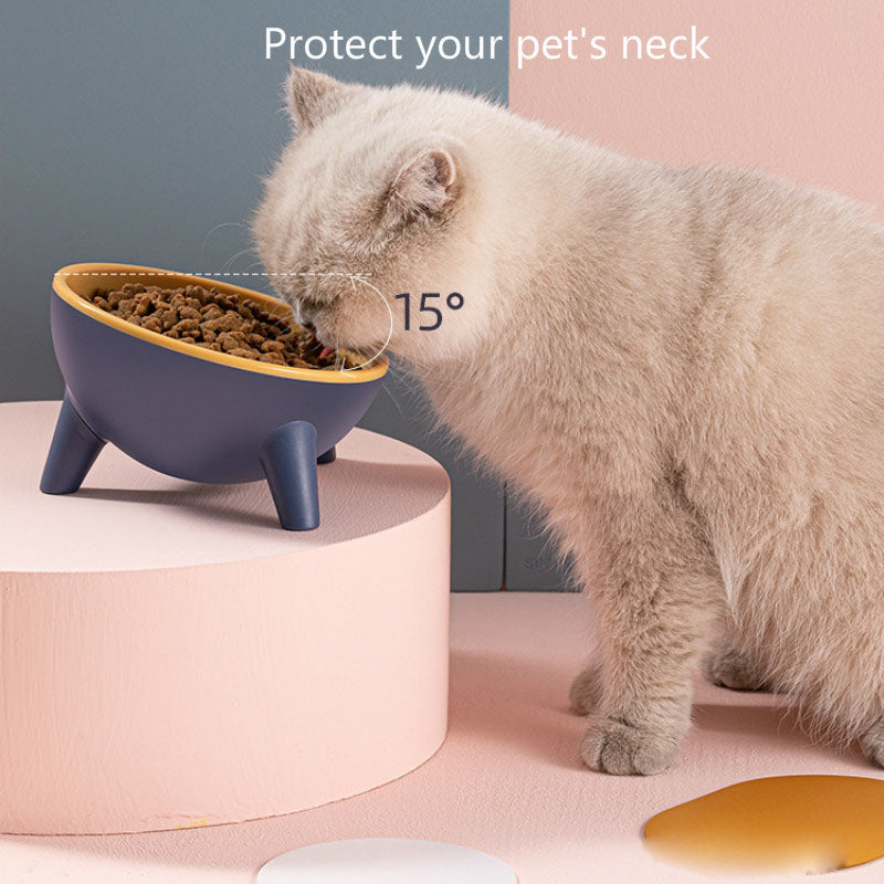 Ergonomic Tilted Pet Feeding Bowl | 15° Angled Cat & Dog Bowl