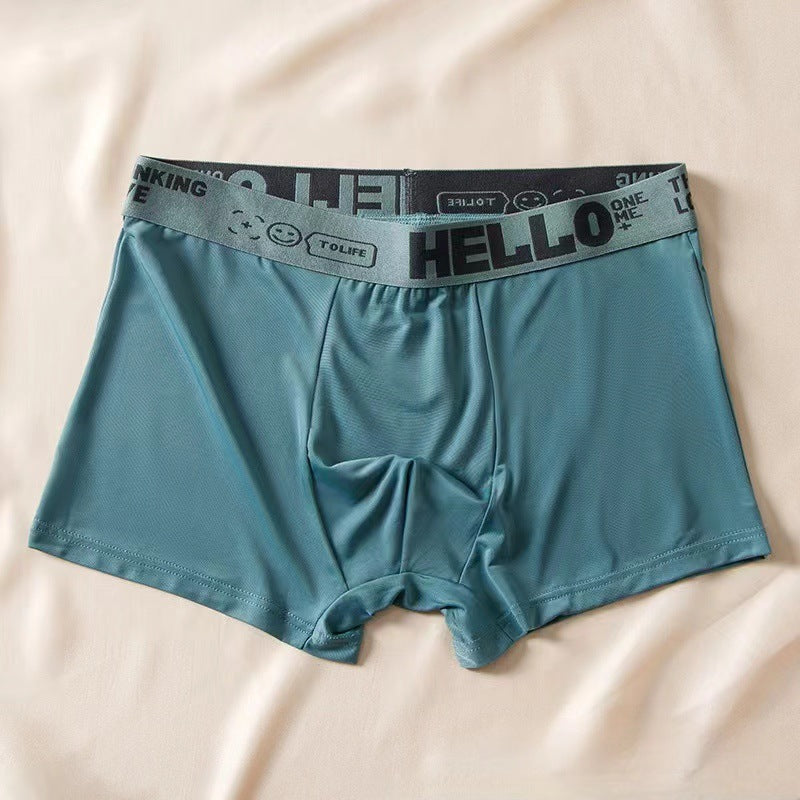 Men's Ice Silk Antibacterial Boxer Briefs | 8 Colours | L–6XL