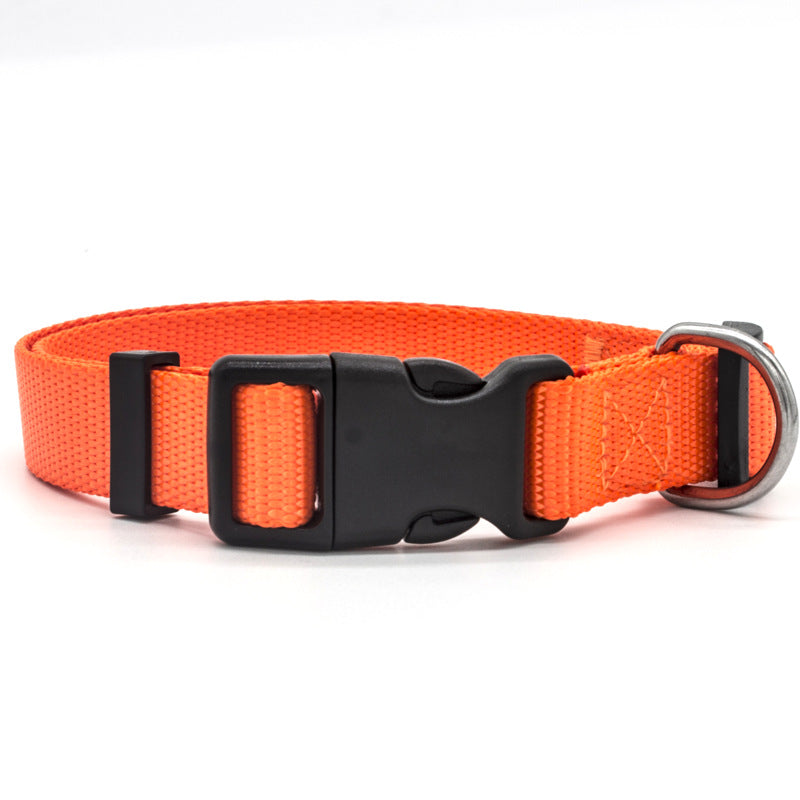 Soft Nylon Pet Collar – Adjustable with Neoprene Lining | Dogs & Cats | 7 Colours