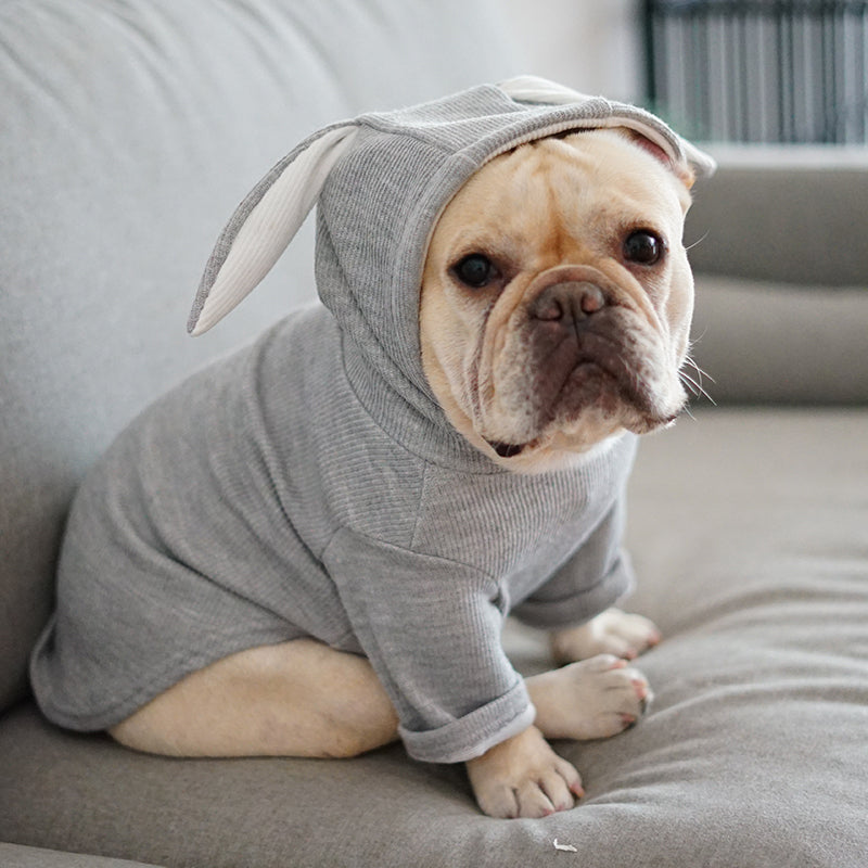 Dog Knit Sweater | Soft Stretch Pullover | 2 Colours | 6 Sizes