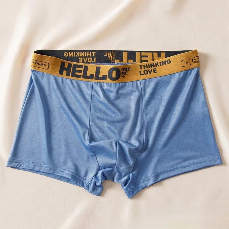 Men's Ice Silk Antibacterial Boxer Briefs | 8 Colours | L–6XL