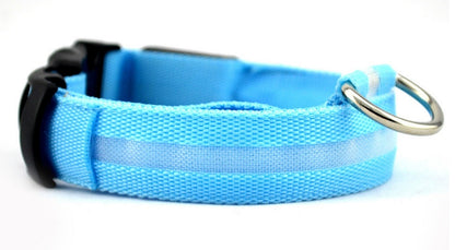 LED Luminous Dog Collar | Nylon Night Safety Flashing Collar XS–XL