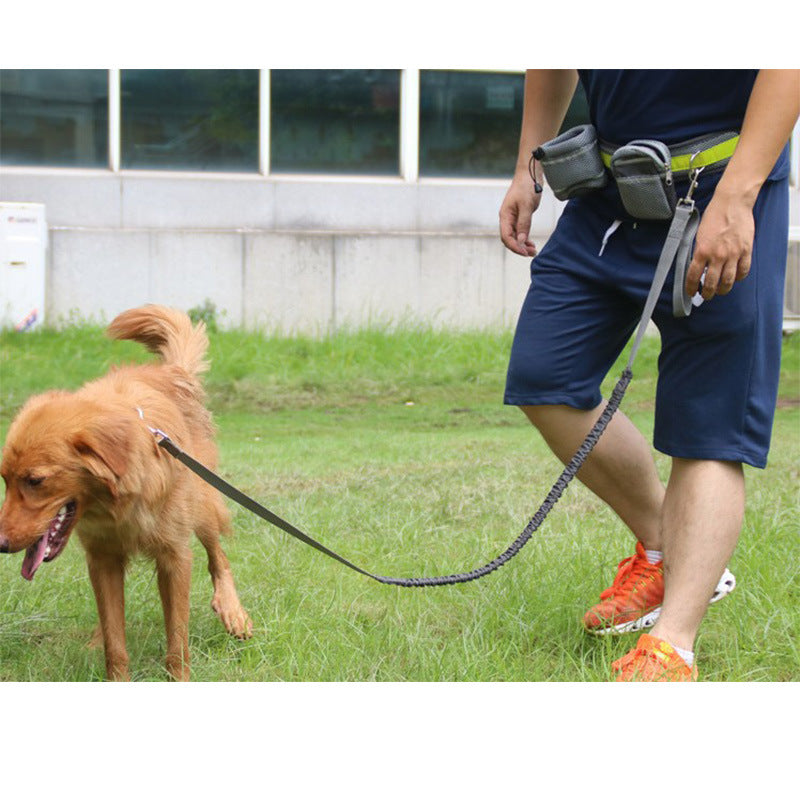 Hands-Free Dog Running Leash Set | 4 Piece Jogging Kit