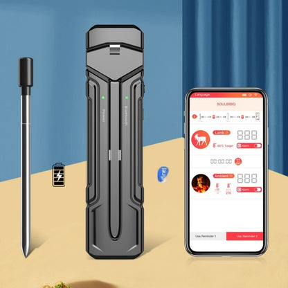 Wireless Kitchen Oven & Food Thermometer | ±1°C Accuracy