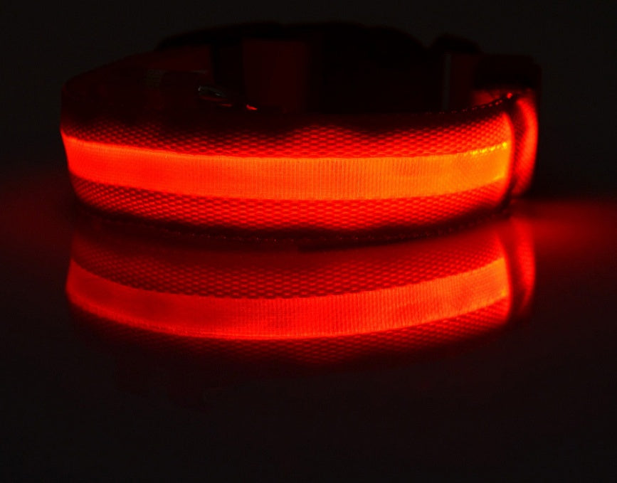 LED Luminous Dog Collar | Nylon Night Safety Flashing Collar XS–XL