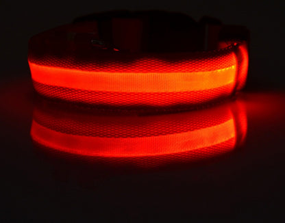 LED Luminous Dog Collar | Nylon Night Safety Flashing Collar XS–XL