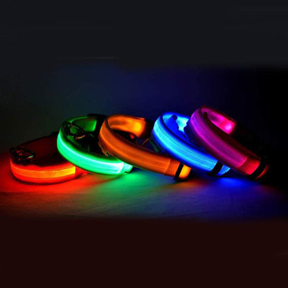 LED Luminous Dog Collar | Nylon Night Safety Flashing Collar XS–XL