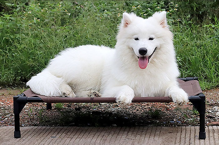 Elevated Pet Camp Bed – Oxford Cloth & Metal Frame | Moisture-Proof | Dogs & Cats | S, M & L