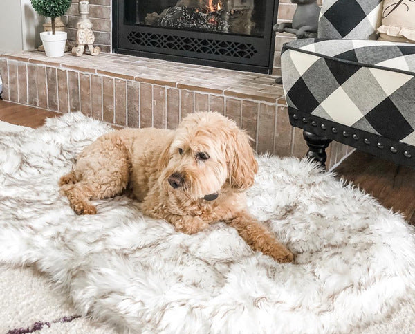 Plush Pet Mat | Dog & Cat Bed | 4 Sizes