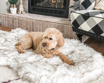 Plush Pet Mat | Dog & Cat Bed | 4 Sizes