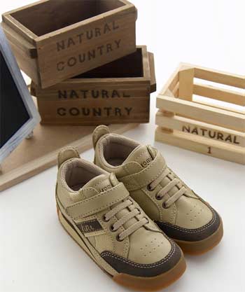 Adult Graphic Canvas Trainers – EU 36–46
