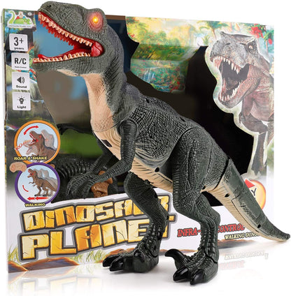 RC Walking Velociraptor Dinosaur Toy - Roaring Sounds Light-Up Eyes Infrared Remote Age 3+