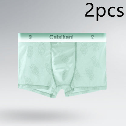 Men's Ice Silk Mesh Boxer Briefs – Quick-Dry Gradient Underwear