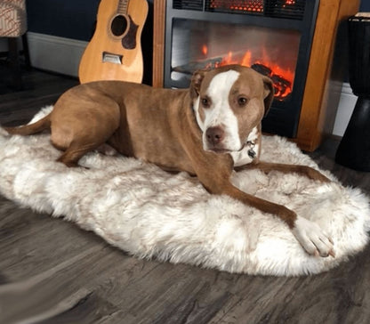 Plush Pet Mat | Dog & Cat Bed | 4 Sizes